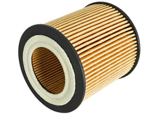 Load image into Gallery viewer, aFe 44-LF029 FITS: Pro GUARD D2 Oil Filter 06-19 BMW Gas Cars L6-3.0T N54/55 Oil Filters