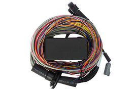 Haltech HT-140604 FITS: Elite 750 8ft Premium Universal Wire-In Harness Wiring Harnesses