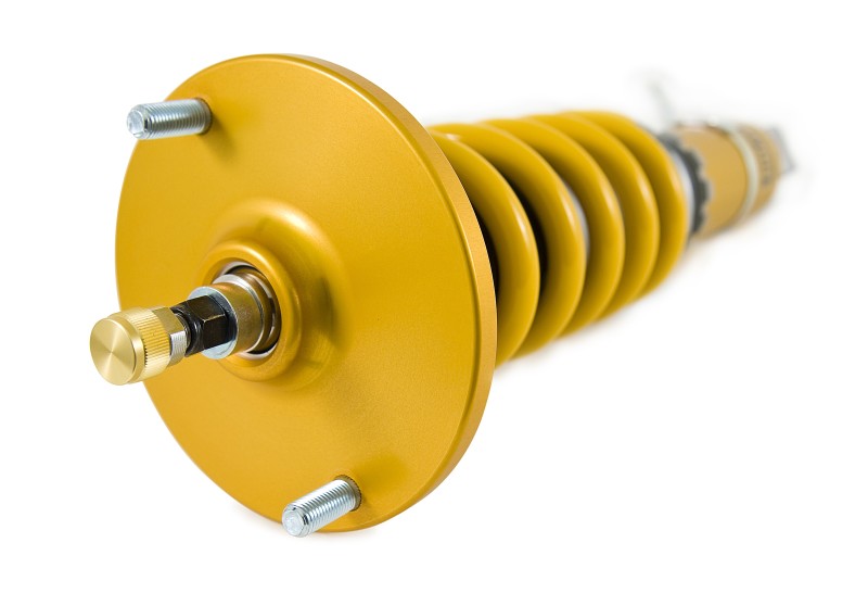 Ohlins NIS MI10S1 FITS: 95-02 Nissan Skyline GT-R (R33/R34) Road & Track Coilover System Coilovers