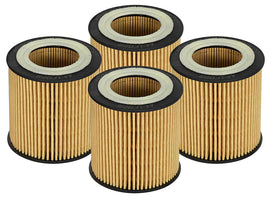 aFe 44-LF029-MB FITS: Pro GUARD D2 Oil Filter 06-19 BMW Gas Cars L6-3.0T N54/55 4 Pack Oil Filters