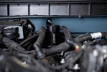 Load image into Gallery viewer, Photo - Mounted