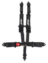 Load image into Gallery viewer, Photo - Close Up