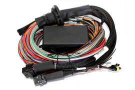 Haltech HT-141304 FITS: Elite 2500 & 2500 T 8ft Premium Universal Wire-In Harness Wiring Harnesses