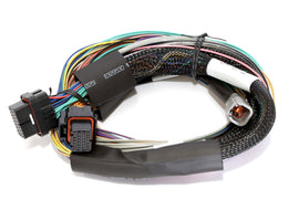 Haltech HT-141302 FITS: Elite 2500 8ft Basic Universal Wire-In Harness (Excl Relays or Fuses) Wiring Harnesses