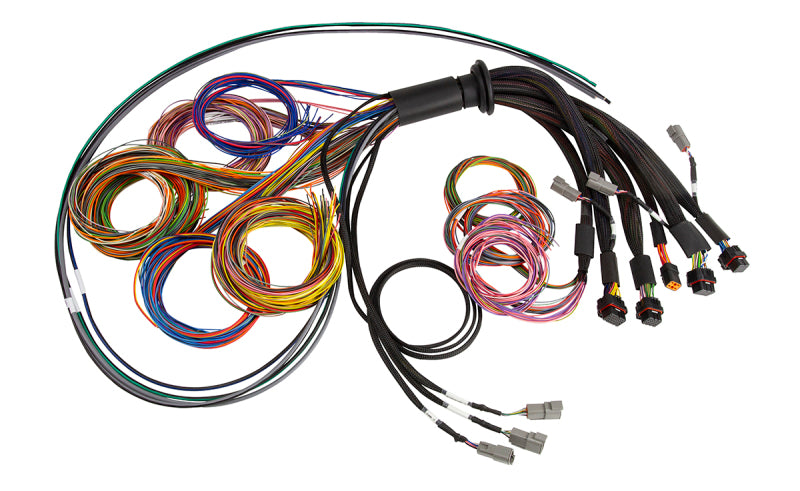 Haltech HT-185200 FITS: NEXUS R5 Universal Wire-In Harness 2.5M (8ft) Wiring Harnesses