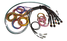Load image into Gallery viewer, Haltech HT-185200 FITS: NEXUS R5 Universal Wire-In Harness 2.5M (8ft) Wiring Harnesses