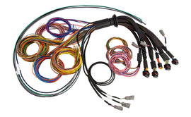 Haltech HT-185200 FITS: NEXUS R5 Universal Wire-In Harness 2.5M (8ft) Wiring Harnesses