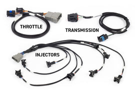Haltech HT-220201 FITS: NEXUS Rebel LS Kit (Suits Gen III) Cable Throttle/EV1 Injectors/Manual Transmission Programmers & Tuners