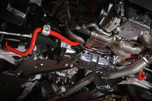 Load image into Gallery viewer, User 1