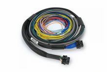 Load image into Gallery viewer, Haltech HT-182200 FITS: NEXUS S2/S3 Universal Wire-In Harness Kit 2.5M (8ft) Wiring Harnesses