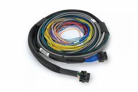 Haltech HT-182200 FITS: NEXUS S2/S3 Universal Wire-In Harness Kit 2.5M (8ft) Wiring Harnesses