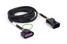 Load image into Gallery viewer, Haltech HT-186507 FITS: NEXUS Rebel LS Corvette Pedal Adaptor Wiring Connectors