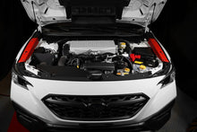 Load image into Gallery viewer, User 1