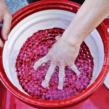 Load image into Gallery viewer, Chemical Guys DIRTTRAP02 FITS: Cyclone Dirt Trap Car Wash Bucket Insert Red Wash Buckets