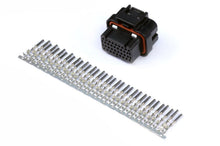 Load image into Gallery viewer, Haltech HT-030009 FITS: AMP 34 Pin 4 Row 3 Keyway Superseal Connector Plug &amp; Pins Wiring Connectors