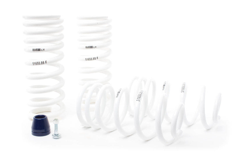 H&R 51650-99 FITS: 94-95 Ford Mustang/Mustang Cobra V8 Super Race Spring Lowering Springs