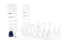 Load image into Gallery viewer, H&amp;R 51650-99 FITS: 94-95 Ford Mustang/Mustang Cobra V8 Super Race Spring Lowering Springs