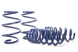 H&R 28650-1 Lowering Springs