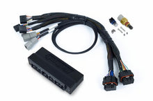 Load image into Gallery viewer, Haltech HT-186367 FITS: NEXUS S3 Plug-n-Play Adapter Harness Wiring Harnesses