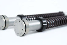 Load image into Gallery viewer, Ohlins 06-17 Harley Dyna FXD (Showa)NIX 22 Cust/Heritage Cartridge Kit (Incl. Springs 04744-10 / 11)