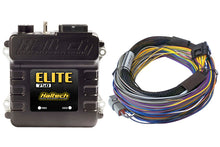 Load image into Gallery viewer, Haltech HT-150602 FITS: Elite 750 Basic Universal Wire-In Harness ECU Kit Programmers &amp; Tuners
