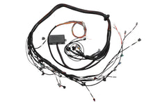 Load image into Gallery viewer, Haltech HT-130318 FITS: Toyota 2JZ Elite 2000/2500 Terminated Engine Harness Wiring Harnesses