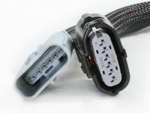 Load image into Gallery viewer, Photo - Close Up