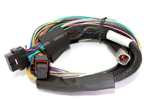 Load image into Gallery viewer, Haltech HT-151302 FITS: Elite 2500 Basic Universal Wire-In Harness ECU Kit Programmers &amp; Tuners