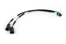 Load image into Gallery viewer, User 1