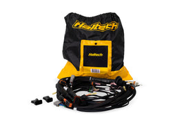 Haltech HT-186500 FITS: NEXUS Rebel LS Terminated Harness for ECU Wiring Harnesses