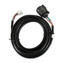 Load image into Gallery viewer, AEM 30-3441 FITS: Replacement Sensor Harness for Digital Wideband Gauge (30-4110) Wiring Harnesses