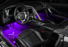 Load image into Gallery viewer, Photo - lifestyle view