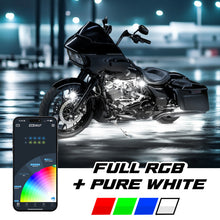 Load image into Gallery viewer, User 1