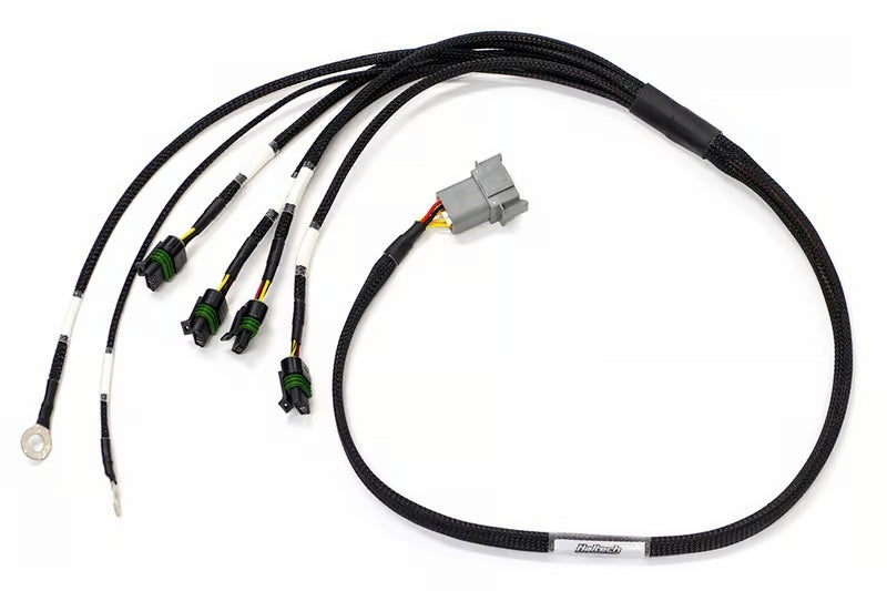 Haltech HT-130336 FITS: Elite 1000/1500 Terminated Ignition Harness Wiring Harnesses