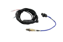 Load image into Gallery viewer, AEM 30-0310 FITS: X-Series Inline Wideband UEGO Controller Gauges