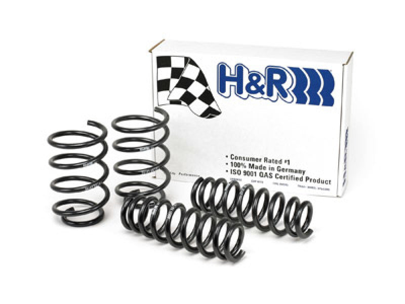 H&R 50494 Lowering Springs