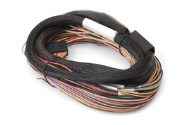 Haltech HT-049902 FITS: IO 12 Expander Box 8ft Flying Lead Harness (A/B Box) Wiring Harnesses