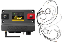 Load image into Gallery viewer, Haltech HT-220204 FITS: NEXUS Rebel LS Kit (Suits Gen IV) 6-Pin DBW Throttle/EV6 Injectors/Manual Transmission Programmers &amp; Tuners