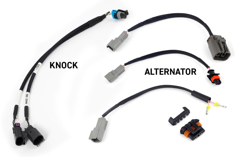Haltech HT-220201 FITS: NEXUS Rebel LS Kit (Suits Gen III) Cable Throttle/EV1 Injectors/Manual Transmission Programmers & Tuners