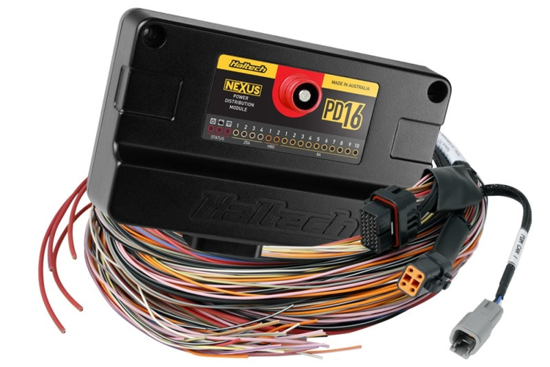 Haltech HT-198201 FITS: Nexus PD16 + Flying Lead Harness (5M) Wiring Harnesses