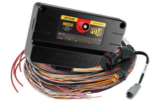 Load image into Gallery viewer, Haltech HT-198201 FITS: Nexus PD16 + Flying Lead Harness (5M) Wiring Harnesses
