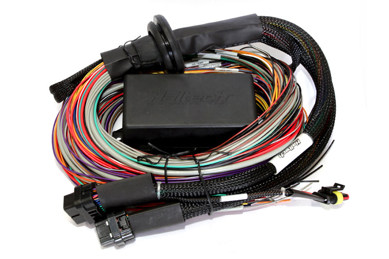 Haltech HT-141304 - Elite 2500 & 2500 T 8ft Premium Universal Wire-In Harness