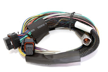 Load image into Gallery viewer, Haltech HT-141302 - Elite 2500 8ft Basic Universal Wire-In Harness (Excl Relays or Fuses)