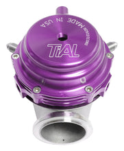 Load image into Gallery viewer, TiAL Sport MVR Wastegate 44mm (All Springs) w/Clamps - Purple