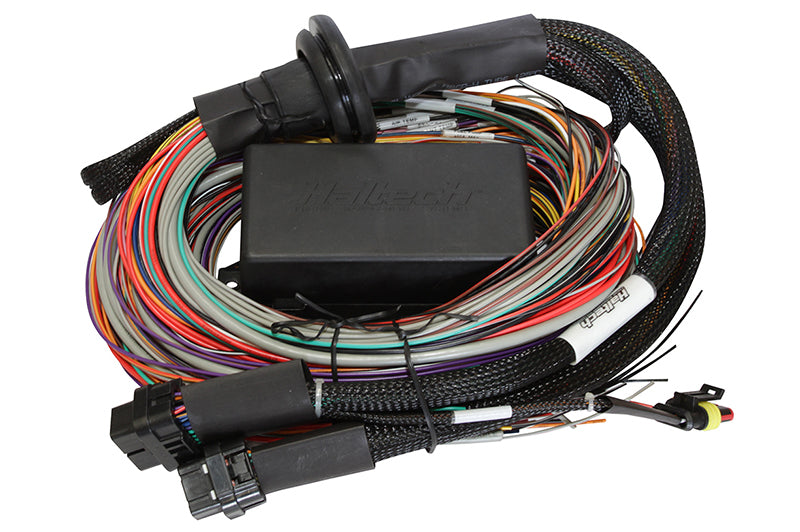 Haltech HT-140904 - Elite 1500 8ft Premium Universal Wire-In Harness