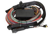 Load image into Gallery viewer, Haltech HT-140904 - Elite 1500 8ft Premium Universal Wire-In Harness